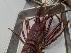 -小海丁