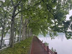 -东湖宾馆-中餐厅