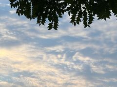 -丁家河公园