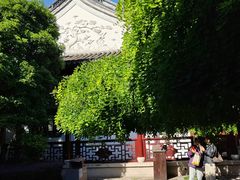 -檀园