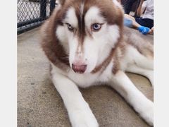 -TrueLove @ Neverland (Husky Cafe)