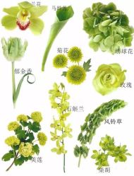 -红丝高端婚礼中心(旗舰店)