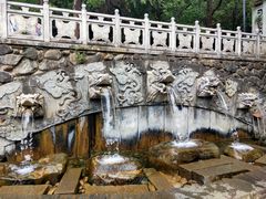 -蝴蝶泉公园