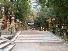 -奈良公园