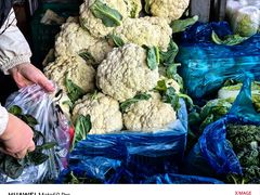 -江杨农产品批发市场