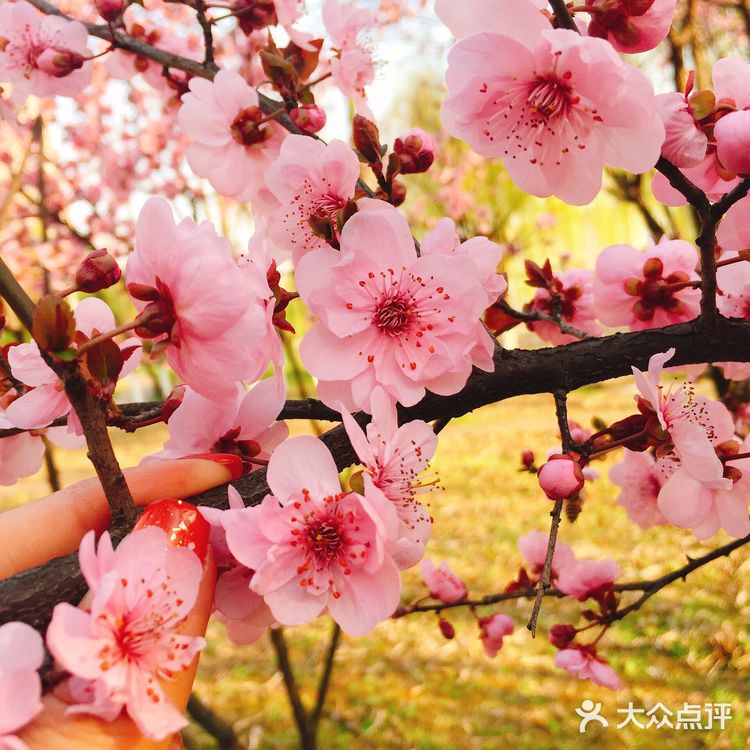 选一种姿态，让自己活得无可替代