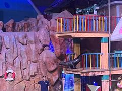 -烟台海昌鲸鲨海洋公园