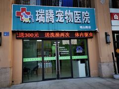 -圣宠动物医院·犬猫专科·影像中心·外科中心