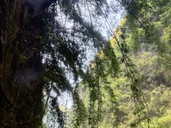 -阿依河景区