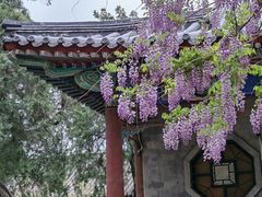 -北京市劳动人民文化宫(太庙)