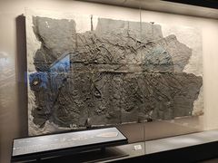 -贵州省地质博物馆