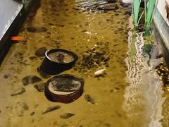 -邈墨茶馆(凤起路店)