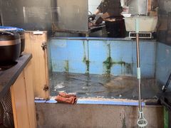 -荷塘码头·活鱼现杀(椒江店)