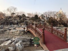-莲花池公园