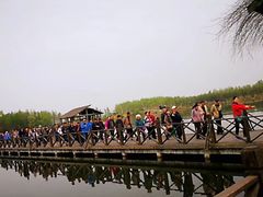 -溱湖国家湿地公园