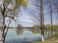 -尚湖风景区