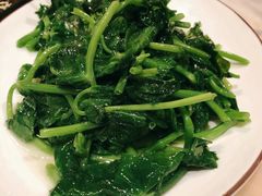 清炒豆苗-漢舍中国菜馆(889广场店)
