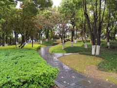 -重庆市江北嘴中央商务区中央公园