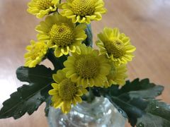 -榖屋house of flour(张江首店)