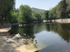 -石家庄市动物园