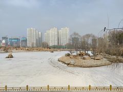 -青藏高原野生动物园