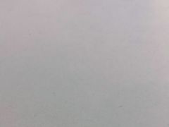 -巷子肥肠(科华巷店)