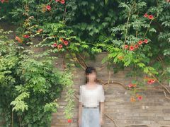 -回龙窝历史文化街区