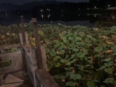 -湘湖大院(越王路店)