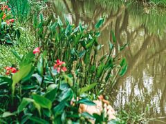 -人民公园(罗湖区)