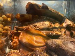 -一手店(五道口店)