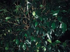 -悦莱美游泳健身会所(御景壹号店)