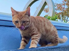 -UNIUNI(凯瑟琳广场店)