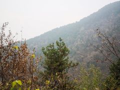 -终南山古楼观历史文化景区