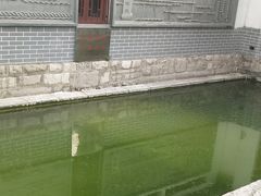 -芙蓉泉·烤鸡爪(芙蓉街店)