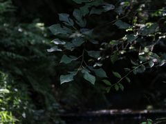 -昆明青龙峡风景区