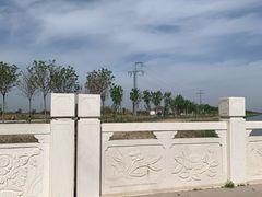 -南大港湿地风景区