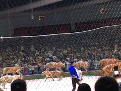 -西安秦岭野生动物园