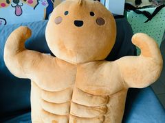 -芭比堂动物医院·心脏科·老年急重症·夜诊·吉雅分院