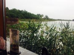 -东滩湿地公园观海楼餐厅