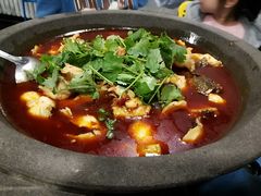 -虎虎龙虾大排档(双井店)