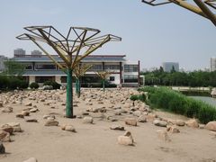 -绿岛公园(滨海新区)