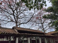 -喜洲吧·江畔老船厂·庭院餐厅(喜临院店)