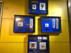 -上海昆虫博物馆