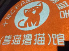 -Bastet sally猫舍购宠(静安店)
