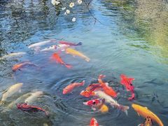 -圆明园遗址公园-藻园门售票处