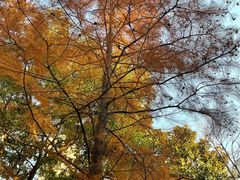 -苏州河梦清园环保主题公园