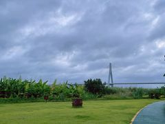 -芒洲湿地公园