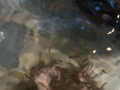 -天目湖涵田半山温泉水乐园