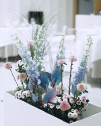 -琥珀婚礼策划AMBER WEDDING