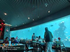 大堂-海棠湾洲际-涛·海底餐厅·美人鱼·自助餐·海底隧道